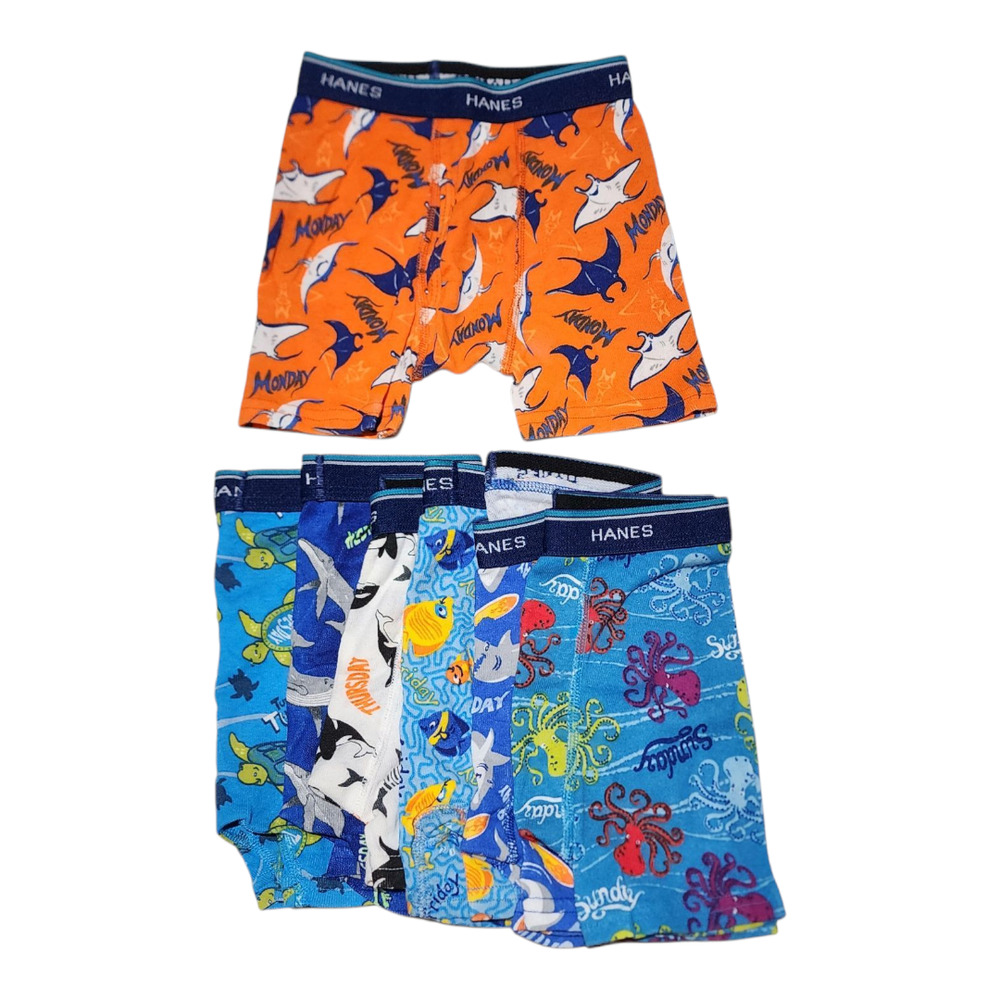 Hanes Boxer Briefs